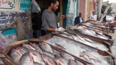 اسعار الاسماك اليوم