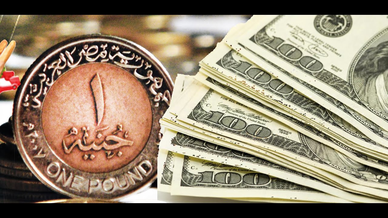 سعر الدولار اليوم مقابل الجنيه المصري