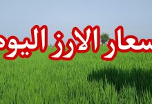 سعر طن الأرز الشعير اليوم