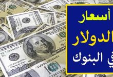 سعر الدولار اليوم مقابل الجنيه المصري