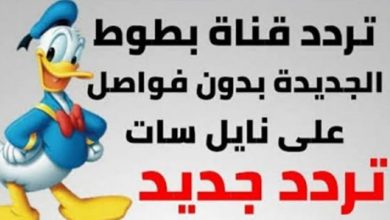 تردد قناة بطوط